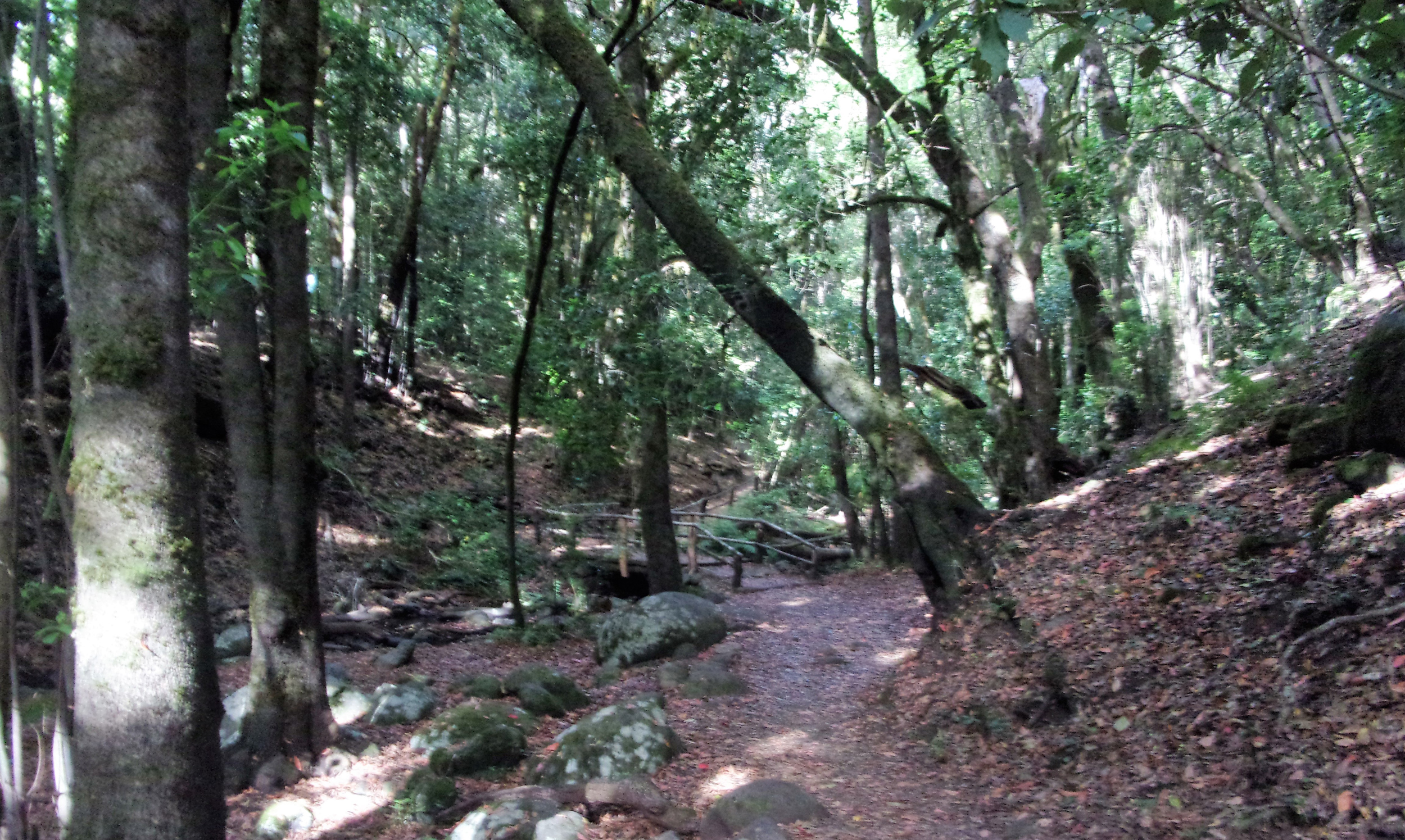 La Gomera Walking Holidays