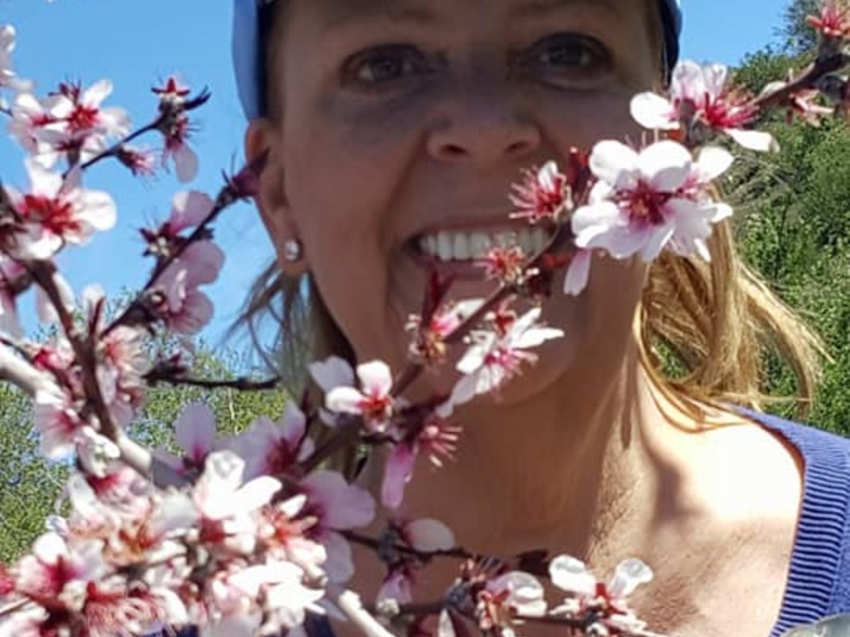 Almong Blossom Blog